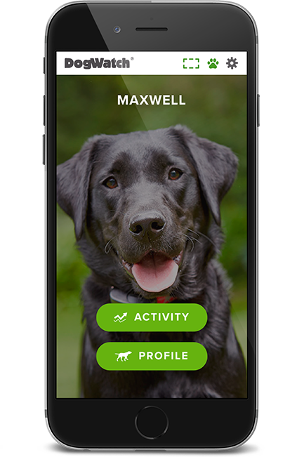 DogWatch by K9 Fencing of Michigan, Elmira, Michigan | SmartFence WebApp Image