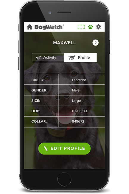 DogWatch by K9 Fencing of Michigan, Elmira, Michigan | SmartFence WebApp Image